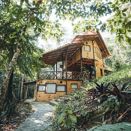 Chirapa Manta Amazon Lodge Lamas ภายนอก รูปภาพ