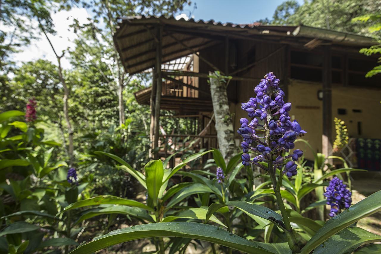 Chirapa Manta Amazon Lodge Lamas ภายนอก รูปภาพ