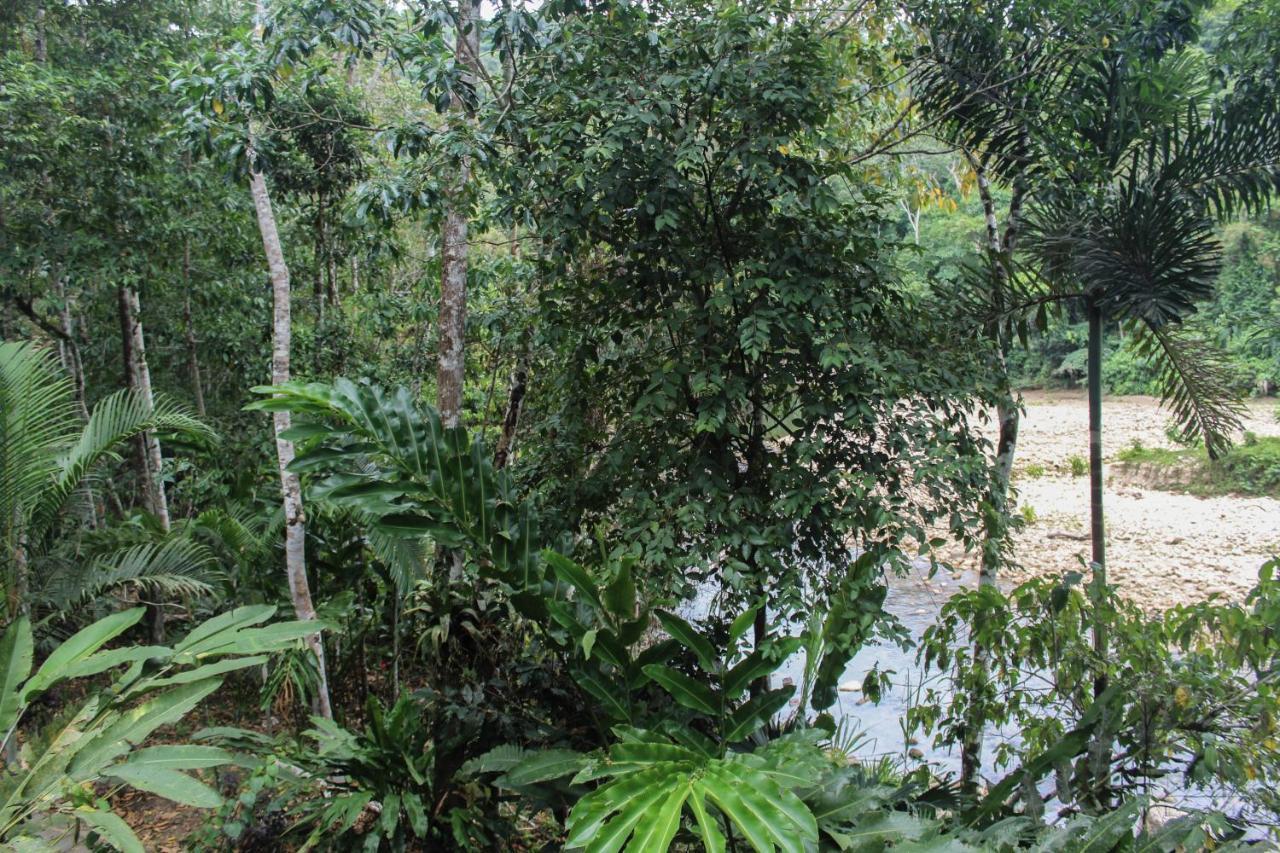 Chirapa Manta Amazon Lodge Lamas ภายนอก รูปภาพ