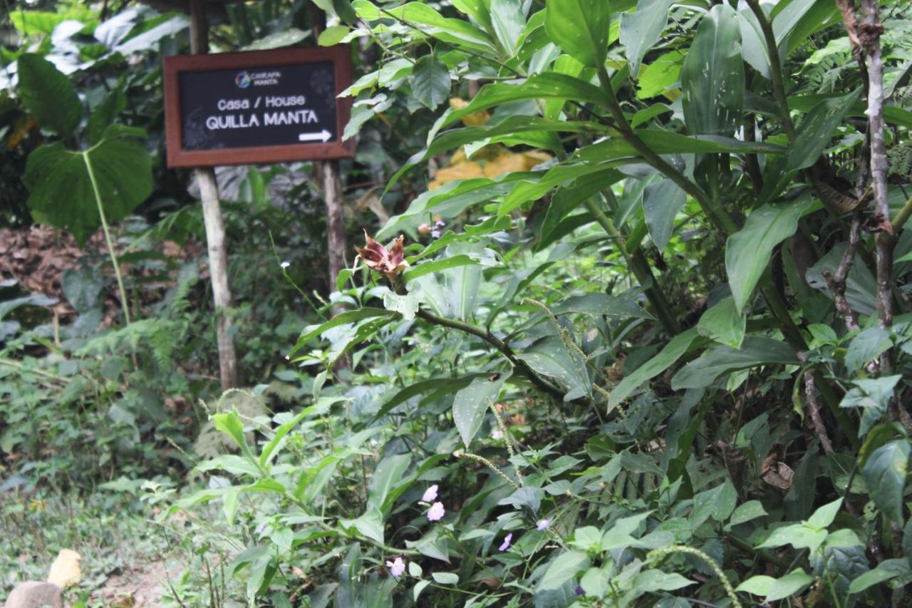Chirapa Manta Amazon Lodge Lamas ภายนอก รูปภาพ